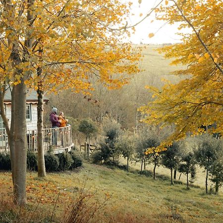 Cottage Orne Long Bredy Extérieur photo
