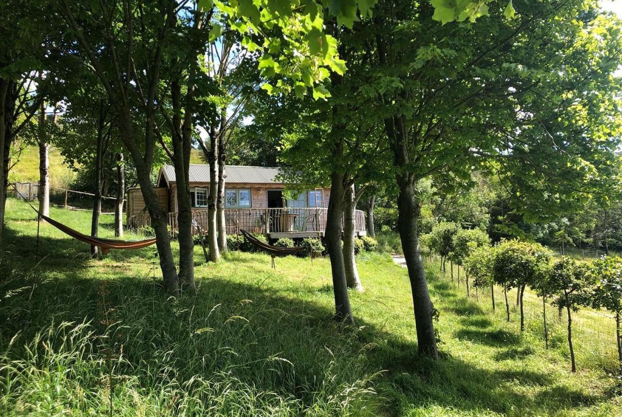 Cottage Orne Long Bredy Extérieur photo