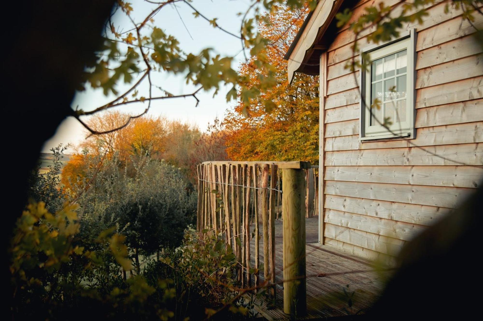 Cottage Orne Long Bredy Extérieur photo